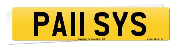 Registration number PA11 SYS